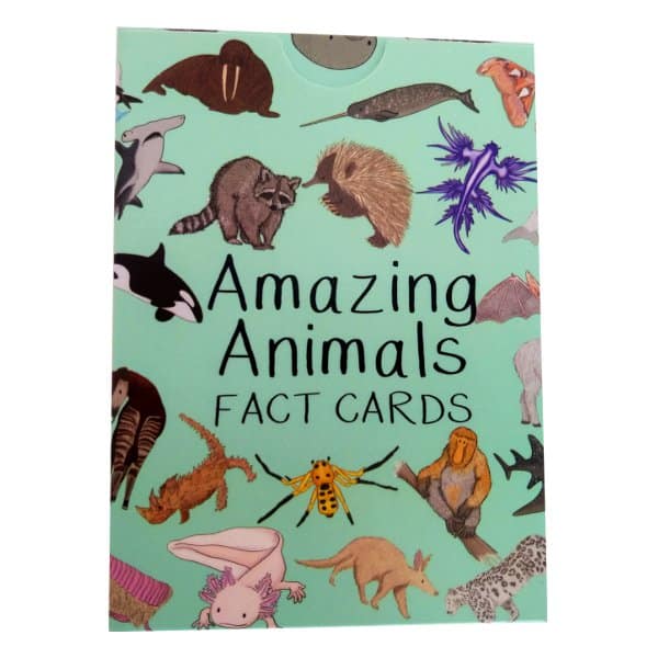 Amazing Animals Fact Cards Set One